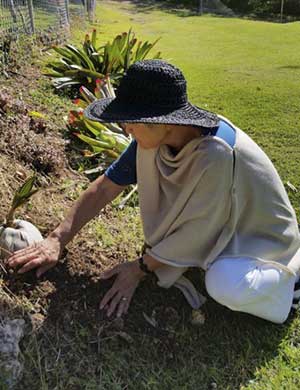 Hideko Planting Coconut Seeds